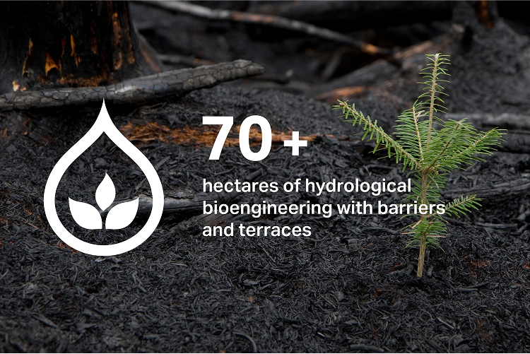 70+ hectares of hydrological bioengneering with barriers and terraces