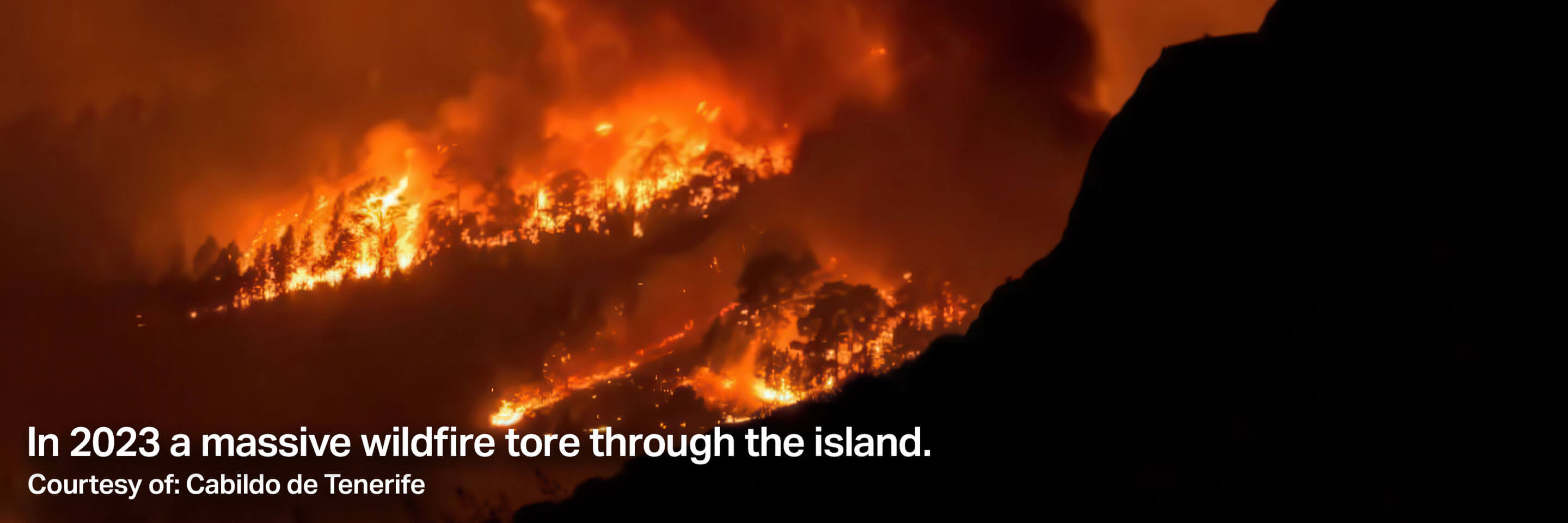 In 2023 a massive wildfire tore through the island. Courtesy of: Cabildo de Tenerife