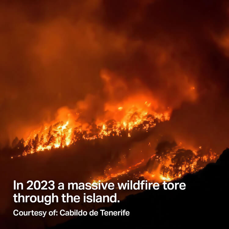 In 2023 a massive wildfire tore through the island. Courtesy of: Cabildo de Tenerife