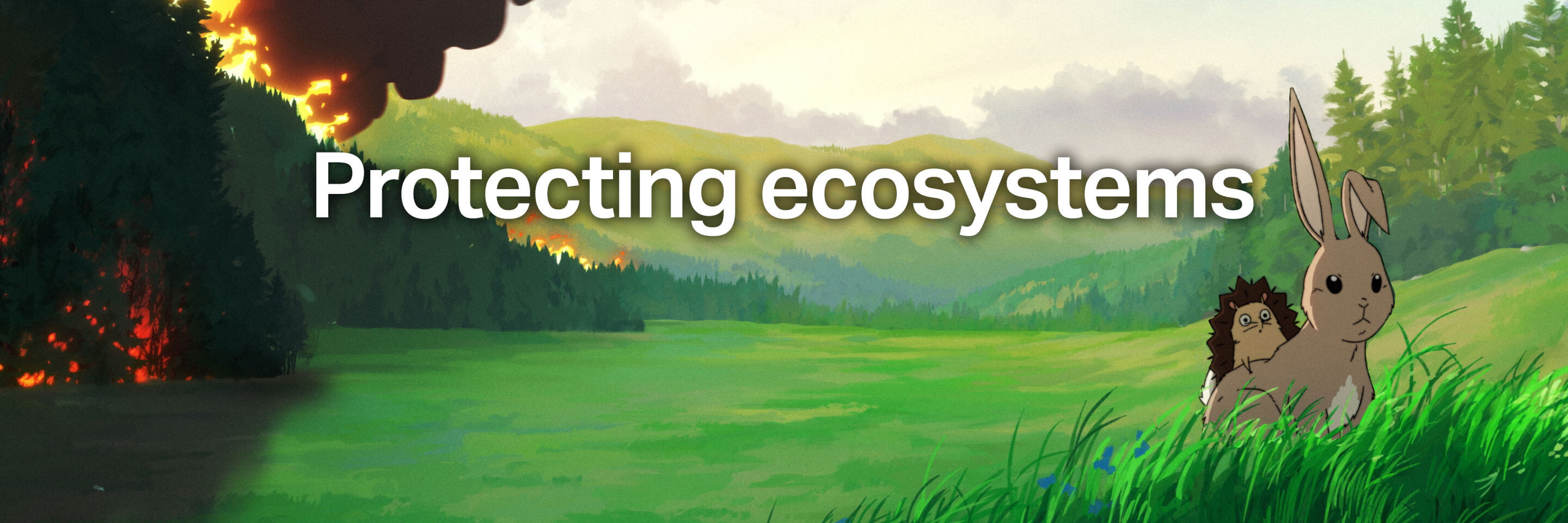 Protecting ecosystems