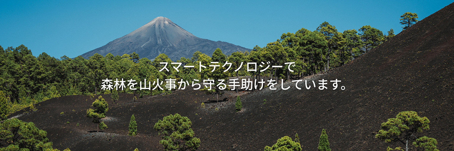 スマートテクノロジーで森林を山火事から守る手助けをしています。