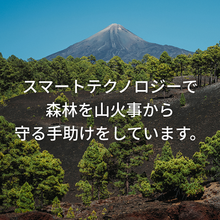 スマートテクノロジーで森林を山火事から守る手助けをしています。