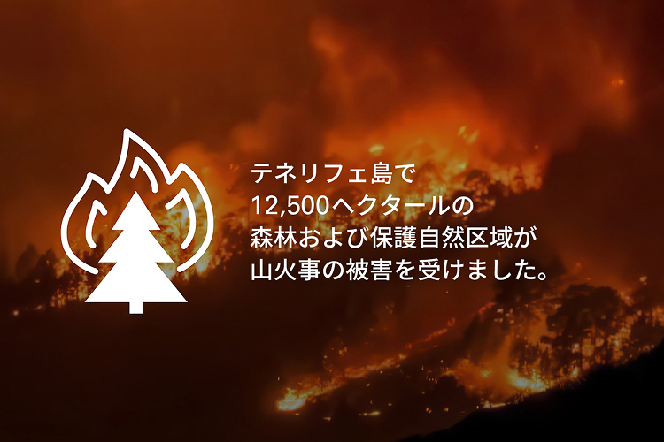 テネリフェ島で1,250ヘクタールの森林および保護自然区域が山火事の被害を受けました。