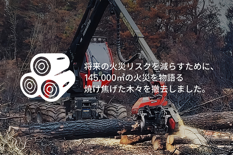 将来の火災リスクを減らすために、145,000㎥の火災を物語る焼け焦げた木々を撤去しました。