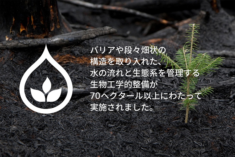 バリアや段々畑状の構造を取り入れた、水の流れと生態系を管理する生物工学的整備が70ヘクタール以上にわたって実施されました。