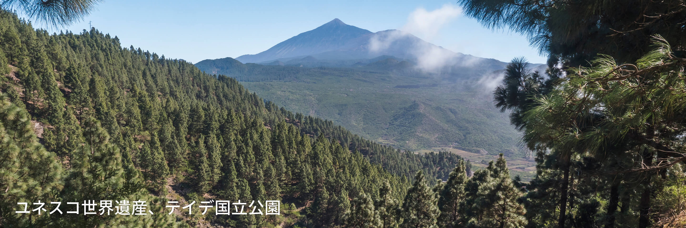 ユネスコ世界遺産、テイデ国立公園